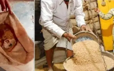 मध्य प्रदेश में सार्वजनिक राशन वितरण प्रणाली में बड़ी लापरवाही