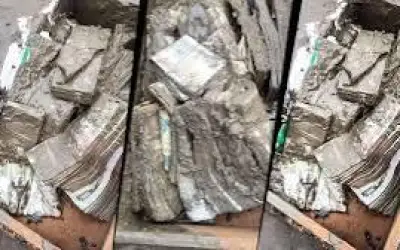 नेपाल की बाढ़ में मिला खजाना, कृषि बैंक से बरामद हुआ करोड़ों का कैश