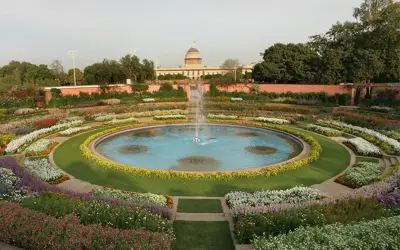 राष्ट्रपति  मुग़ल गार्डेन आज से आम आदमी के लिए खुला