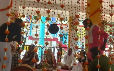 शादी में मधुमक्खियों के हमले से मंडप छोड़कर भागे दूल्हा-दुल्हन
