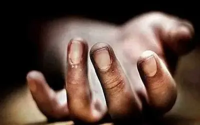 मवेशियों को बचाने में तीन की मौत
