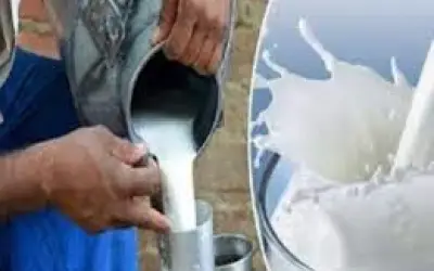 अब दूध भी होगा महंगा
