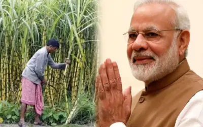 मोदी सरकार ने बढ़ाई गन्ना किसानों की आर्थिक मिठास