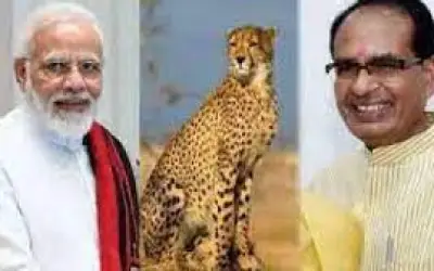 अपने जन्मदिन पर पीएम मोदी करेंगे मध्य प्रदेश का दौरा