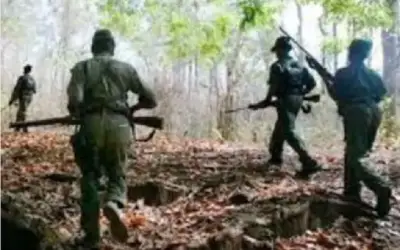 आठ लाख रुपए के दो इनामी नक्सली सुकमा मुठभेड़ में ढेर