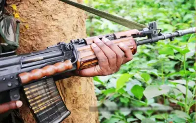 गढ़चिरौली में आठ लाख का इनामी नक्सली मारा गया