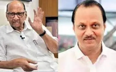 चाचा शरद पवार की एनसीपी को चुनाव आयोग ने बताया असली एनसीपी अजित पवार गुट की