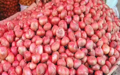 प्याज की सभी किस्मों के निर्यात पर लगी रोक