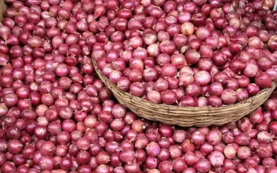 प्याज की कीमतों ने बनाया नया रिकॉर्ड