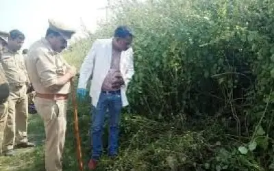 निर्दयी मां बाप ने मासूम बच्ची को झाड़ियों में फेंका