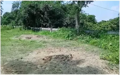 कब्र से लाश निकालकर सिर काटकर ले भागा