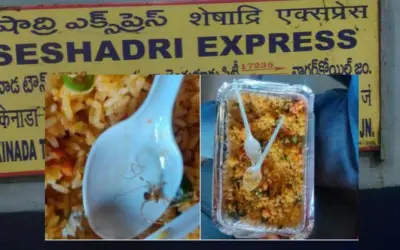 शेषाद्री एक्सप्रेस में यात्रियों को मिली मकड़ी बिरयानी