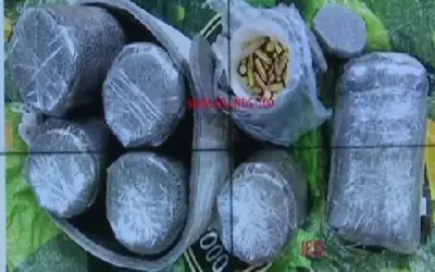 पाकिस्तानी ड्रोन ने पंजाब में गिराया विस्फोटक