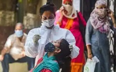 कोरोना का खतरा बरक़रार 24 घंटे मेें आए 36,083 नए मामले , 493 की मौत