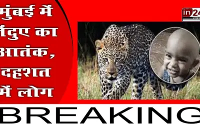 मुंबई में तेंदुए का आतंक, दहशत में लोग |