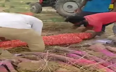 उच्च जाति के लोगों ने दलित महिला के अंतिम संस्कार को रोका