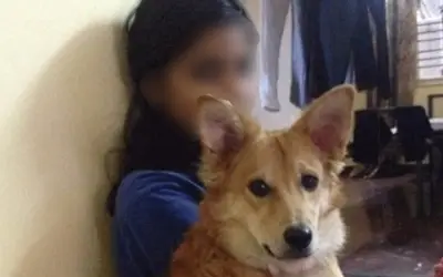 कुत्ते से शादी करेगी पूर्व मॉडल