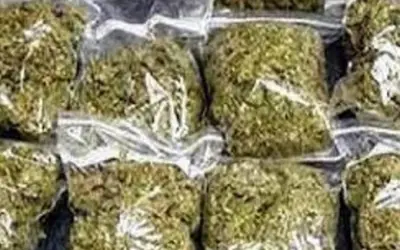 450 ग्राम अवैध गांजा के साथ महिला गिरफ्तार