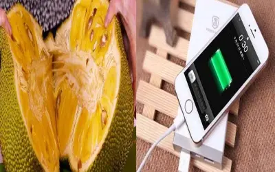 अब कटहल से होगा स्मार्ट फोन चार्ज