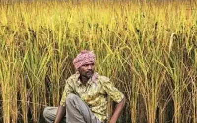 किसानों की बिना बताए बीमा कंपनी ने काटे 93 लाख