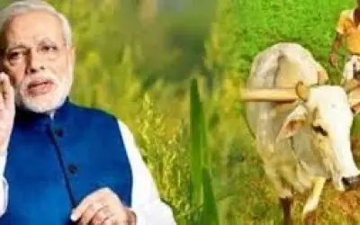 किसानों के खाते में जाएंगे दो-दो हज़ार रुपए