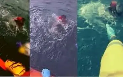 मौत के मुंह से निकला समुद्र में डूबने वाला लड़का