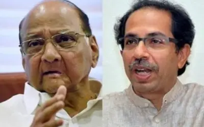 पवार ने की सीएम उद्धव की आलोचना