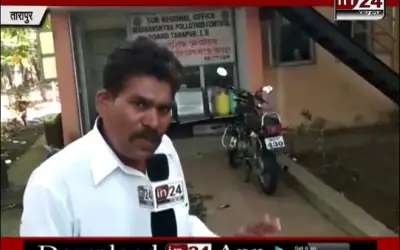 Tarapur K Navapur Khadi Mein Chemical Se Mari Machliyaa in24news