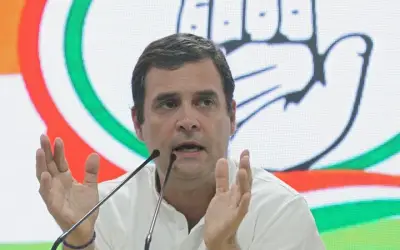 52 सांसद ही बीजेपी लड़ने के लिए हैं काफी - राहुल गांधी
