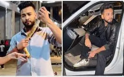 ऑनलाइन ऐप से होती थी रेव पार्टी में सांप की डील