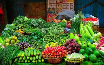 पहली बार जलमार्ग से दुबई भेजी गई हरी सब्ज़ी