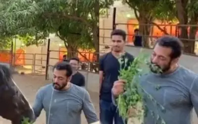 लॉकडाउन में सलमान ने खाया घोड़े के साथ घास