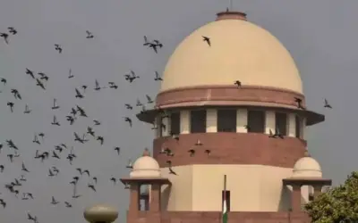 एससी-एसटी एक्ट में अब बिना जांच गिरफ्तारी संभव