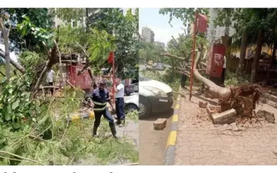 मुंबई में 24 घंटे के भीतर 13 दुर्घटनाएं, कोई हताहत नहीं