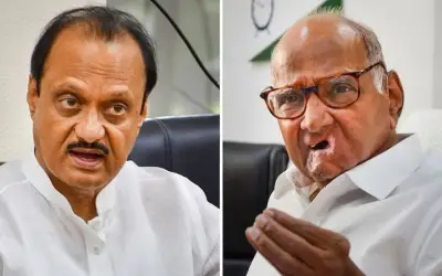 तस्वीर हटाने के मुद्दे पर शरद पवार और अजित पवार के बीच दरार ?