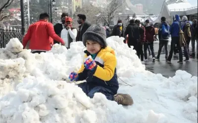 मौसम ने किया उत्तर भारत को ठंडा-ठंडा, कूल-कूल