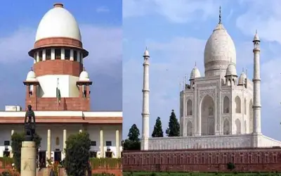 ताज के लिए काटे जाएंगे 452 पेड़