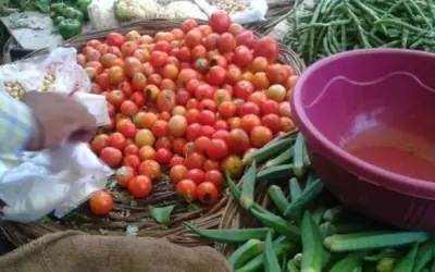टमाटर की बढ़ी कीमत से ग्राहकों के चेहरे हुए लाल