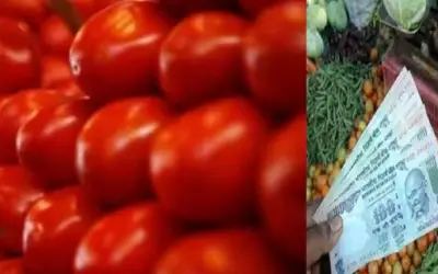 मुंबई समेत पूरे महाराष्ट्र में टमाटर की कीमतें प्रति किलो 100 रुपए के पार