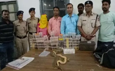 ट्रेन में महिला यात्री के बैग में मिले करोड़ों के अजगर, सांप और गिरगिट