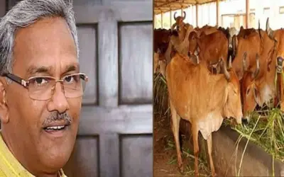 गाय गुणों का भंडार है :  रावत