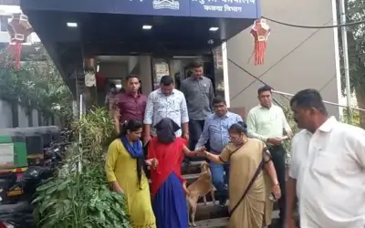 Five-month-old newborn thrown in a garbage can-in24news