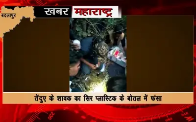 Leopard cub's head stuck in plastic bottle in Badlapur