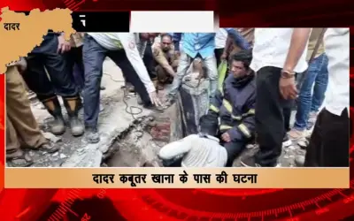 The cow that fell into the drain in Dadar area of Mumbai was rescued after five hrs  effort