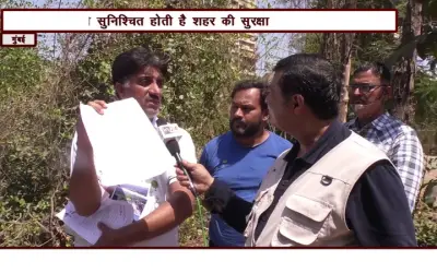 Jagrut Environment Sanstha & Vasundhara Foundation are active to save mangrove
