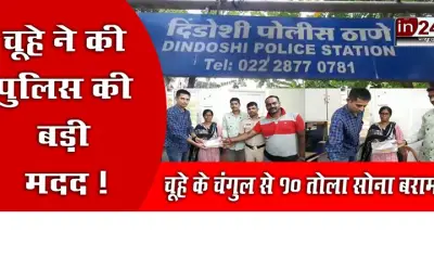 10 tola of gold recovered from the clutches of a rat
