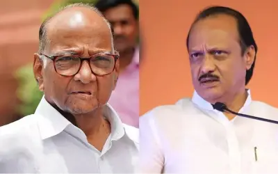 डिप्टी सीएम बनने के बाद अजित पवार का दावा, शरद पवार के साथ पूरी एनसीपी का समर्थन मिला !