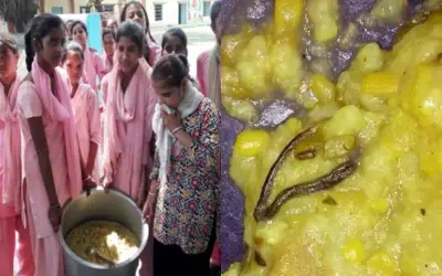 मिड डे मील की खिचड़ी में सांप