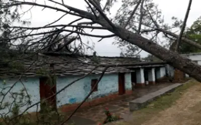 रायगढ़ जिले में पेड गिरने से 20 छात्र चोटिल