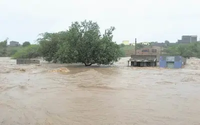 गुजरात में बाढ़ का कहर से काफी तबाही।